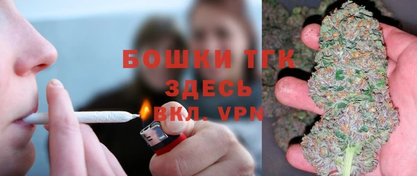 прущие крисы Няндома