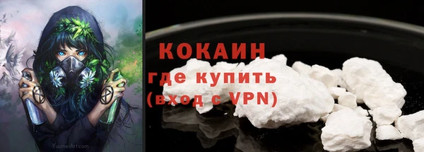 прущие крисы Няндома