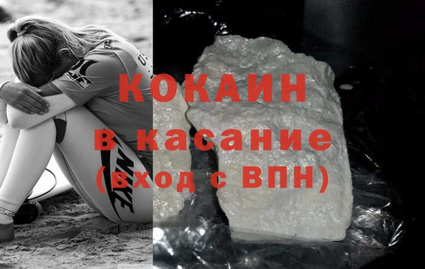 индика Осинники