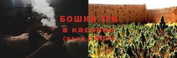прущие крисы Няндома
