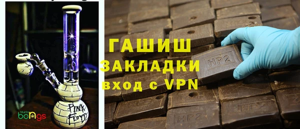 индика Осинники