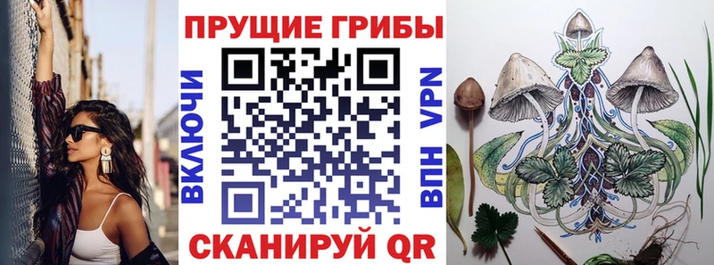 Псилоцибиновые грибы мицелий  закладка  Абаза 